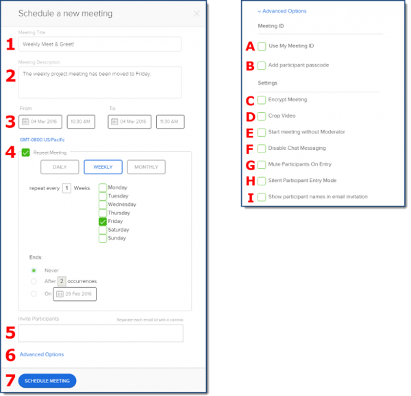 how to use bluejeans for video conferencing