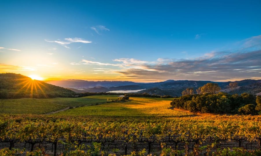 napa valley zoom background