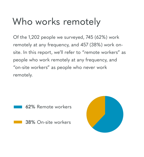 who works remotely owl labs